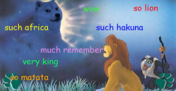 jayvsatlas:  corrgasm:  Why do i even…  Greatest photo of all
