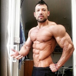 Adonis Files