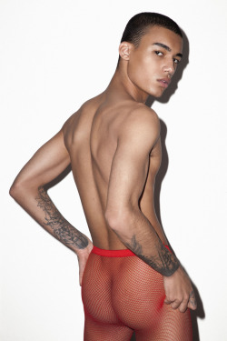 allmalecelebs:Reece King