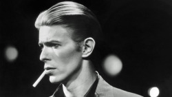 illiteratebradley:  R.I.P David Bowie 1947 - 2016 