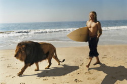 arovingeye:  Bruce Weber - Lion Surf 