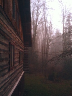 buryings:  frankenwine:  My parents house in the forbidden forest