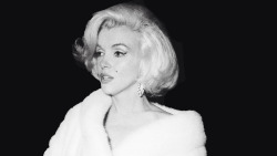 tame-the-cunt:  ourmarilynmonroe:  “Marilyn is a kind of ultimate.