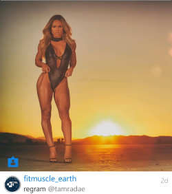 Fitness Models of planet EARTH