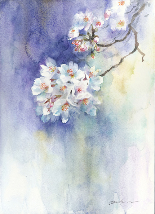 miyamachiyuki:花曇り（hazy weather in spring）Apr.12,2020watercolorsize：242*333mm