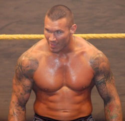 hotcelebs2000:  RANDY ORTON