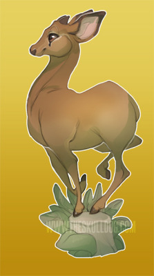 skulldog:  Klipspringer, a tiny African antelope. And a sticker: