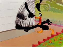 animationsmears: “The Up-Standing Sitter” (1948) Daffy Duck,