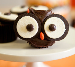 housewifeswag:  thecakebar:  Owl always love you cupcakes……