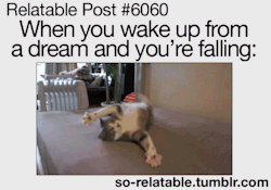 lolsofunny:  (lol here!) 