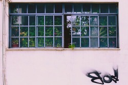 sneyeper:  sneyeper.tumblr.com