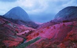 cluts:  Poison Glen, Richard Mosse 