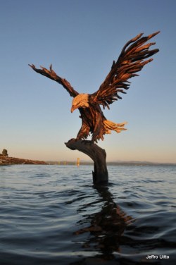 f-l-e-u-r-d-e-l-y-s:  Incredible, Driftwood Sculptures Jeffro