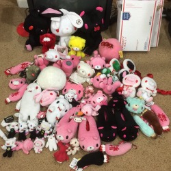 derpola:  Gloomy bear / All Purpose Rabbit fans anyone? All for