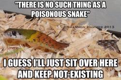 markscherz:  reptilesrevolution:  Tiger Keelback - Rhabdophis