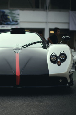 artoftheautomobile:  Pagani Zonda Cinque via Prototype 0