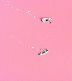 congenitaldisease:  Lake Retba or Lac Rose (which means pink