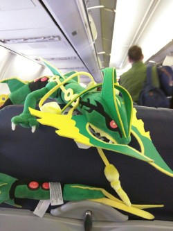fauxwolffur:  When flying long distances, Rayquaza prefers the