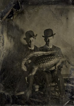 Portrait of Two Men with an Alligator Across Their Laps, USA,