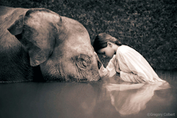 gregorycolbert:  May elephant’s eyes keep watch over your New