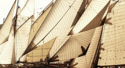 ncs51:  Les voiles de Saint-Tropez, 2007Â Â© ROLEX/Kurt Arrigo