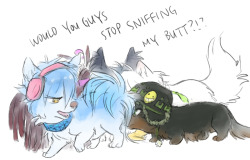 hasuyawwn:  so some people wondered about an aoba doggy…well