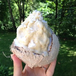 fitwithoutfat:  Coconut #nicecream in a coconut bowl 😊🍦