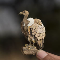 mayahan:Miniature Paper Birds by nvillustration