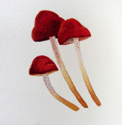 eatsleepdraw:  watercolor + mushrooms = ^-^ See more stuffs here: