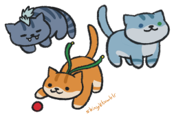 shinyv:  cats………………. and not-cats 
