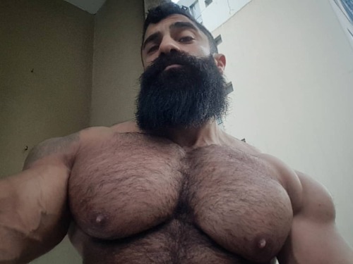 Musculos, Roids y Osos