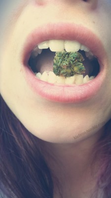 kiefeon:  omnomm♡