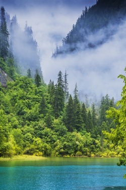ponderation:Smoky Mountains by wdny18 