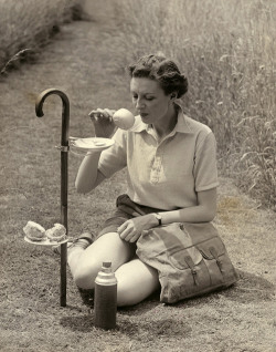 webofhistory:  Walking stick snack bar (ca. 1937). 