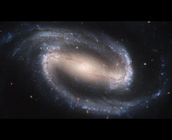 vichywater:  Galaxy NGC 1300 exhibits a long, central bar shape