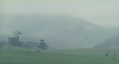 firstlastcinema:  First and last shot of Lolita (1997)Directed by Adrian Lyne