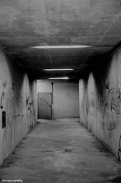 My blog is haunted