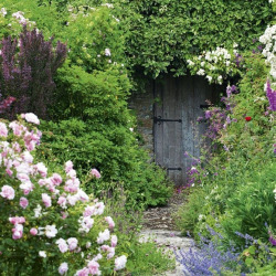 nordicsublime: Garden door - blog.freepeople.com
