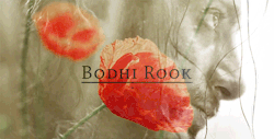dasakuryo: Rogue One + Elements of Nature  {Bodhi Rook} Blossom