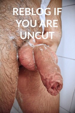 sumoboy69:  wolfire1:  tch1005: chubbydudefl79:   uncut-delight: