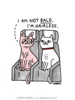 gemmacorrell:  (Nearly) A year of Skycats (my monthly comic for