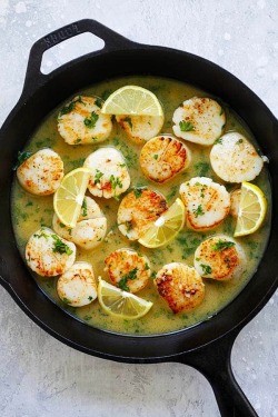 foodffs:  Garlic Butter Scallops with Lemon Sauce Follow for