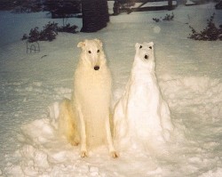 cadetkawaii:  snow-drift-navigator:  anus:  dog and snog   My