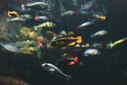 grett:  untitled by stweedy on Flickr. 