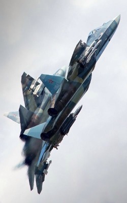 rocketman-inc:  Sukhoi T-50