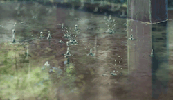 rawranansi:   this is miyazaki rain, which means that every frame