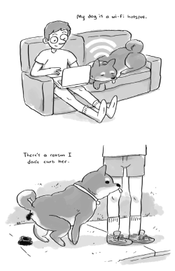 itsjust-anotherblog:  princess-ruto:  i got sad when the dog