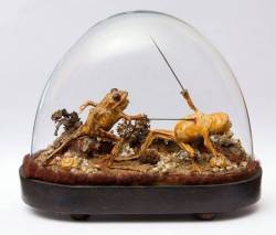 arcaneimages:  This taxidermy was found inside a late 19th-century