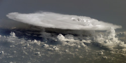 humanoidhistory:  Cumulonimbus cloud over Africa, observed from