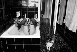 domesticnudes:Bathroom.